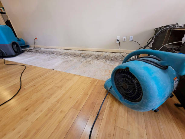 Professional Water Damage Repair technician working in Roseville, MN