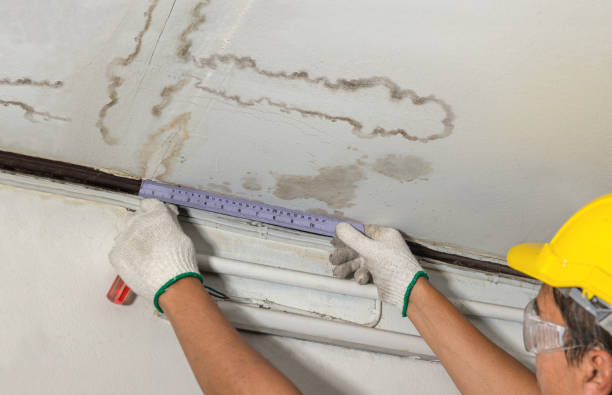 Affordable Water Damage Repair solutions in Roseville, MN